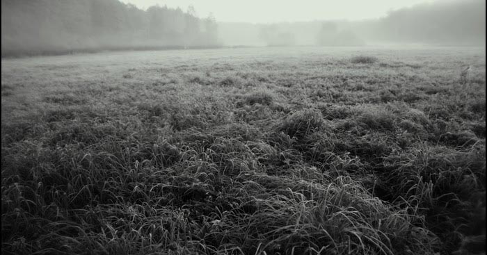 রবিবারের গল্প ১ 