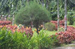 अतुल्य भारत