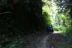 गुज़रा साल और तुम