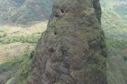 कलावंतीणीच्या सुळक्यावर