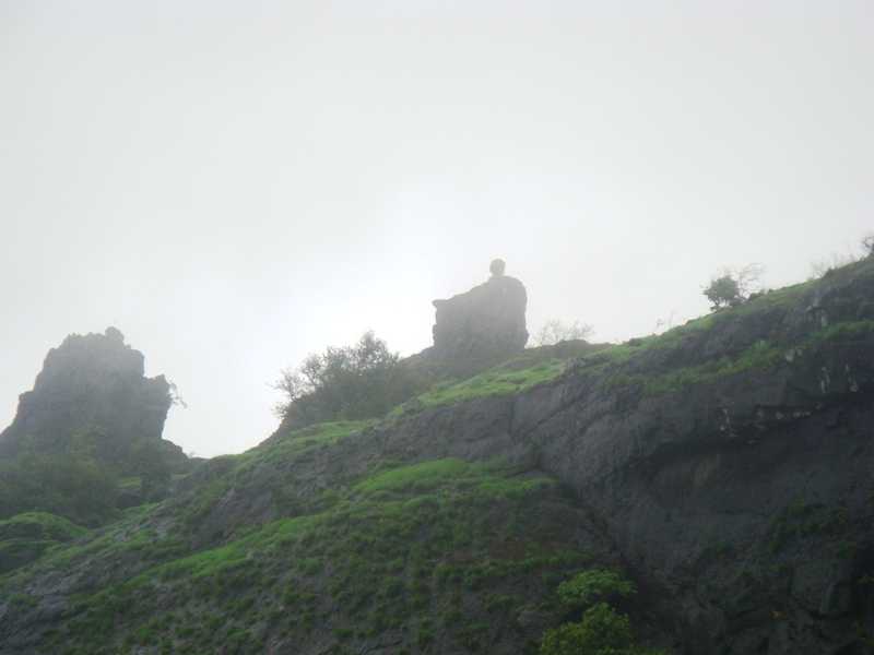 कोहोजची सफर