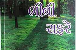 પુસ્તક પરિચય: સાહિત્ય ભીની સફરે - લેખિકા: ભૂમિ ભેસાણિયા