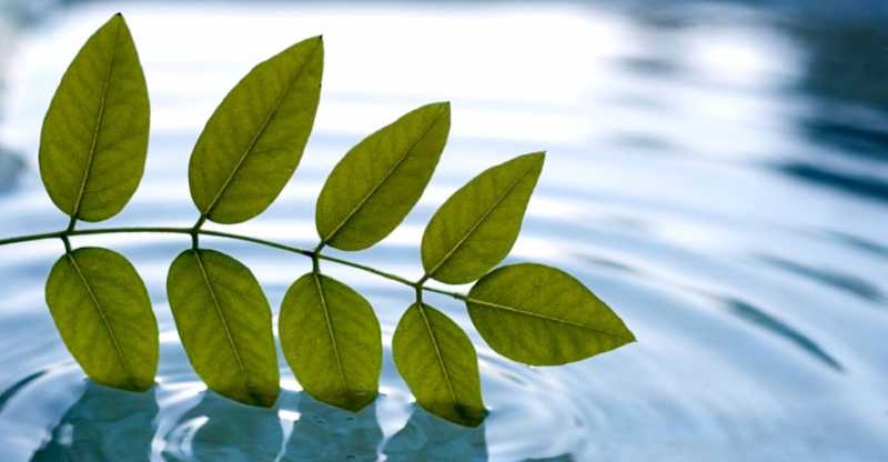 पानी हूँ पानी रहने दो