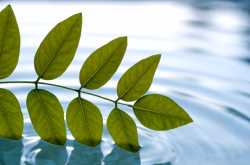 पानी हूँ पानी रहने दो