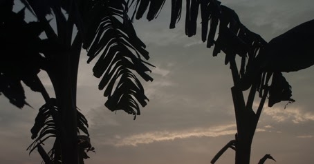 मेरी पहली पोस्ट