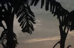 मेरी पहली पोस्ट