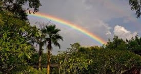 ನೆನಪೆನ್ನುವುದೇ ಹಾಗೇ!