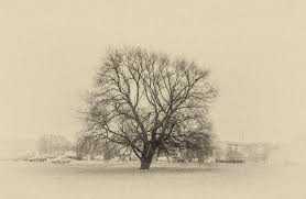  अथ  प्रतीक कथा ---- दूसरा वर्शन 