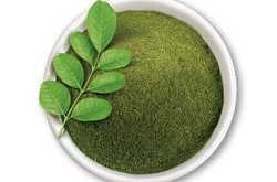 श्रावण मासी, हिरवळ दाटे चोहीकडे..