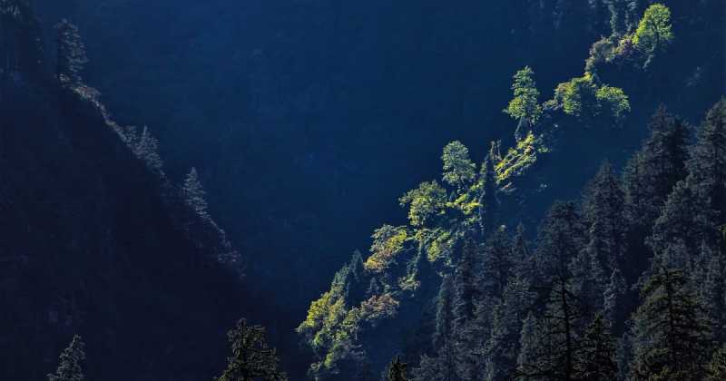 ಛಾಯಾಗ್ರಹಣವೆಂಬ ಕ್ಷಣ ಕ್ಷಣದ ಧ್ಯಾನ