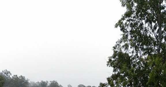 जादुई बारिश