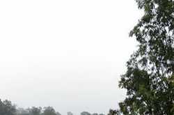 जादुई बारिश