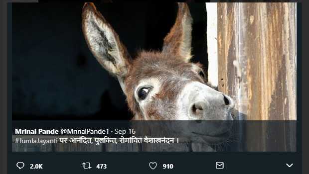 à¤®à¥à¤£à¤¾à¤² à¤ªà¤¾à¤à¤¡à¥ : à¤à¥à¤®à¤²à¤¾ à¤à¤¯à¤à¤¤à¥ à¤ªà¤° à¤à¤¨à¤à¤¦à¤¿à¤¤, à¤ªà¥à¤²à¤à¤¿à¤¤, à¤°à¥à¤®à¤¾à¤à¤à¤¿à¤¤ à¤µà¥à¤¶à¤¾à¤à¤¨à¤à¤¦à¤¨