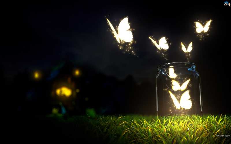 वो एक तितली