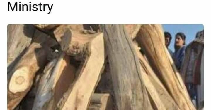 पटाखों के बाद हिन्दुओं के अंतिम संस्कार पर रोक: सेक्युलर देश में चुन-चुनकर हिन्दुओं के अस्तित्व पर आक्रमण  