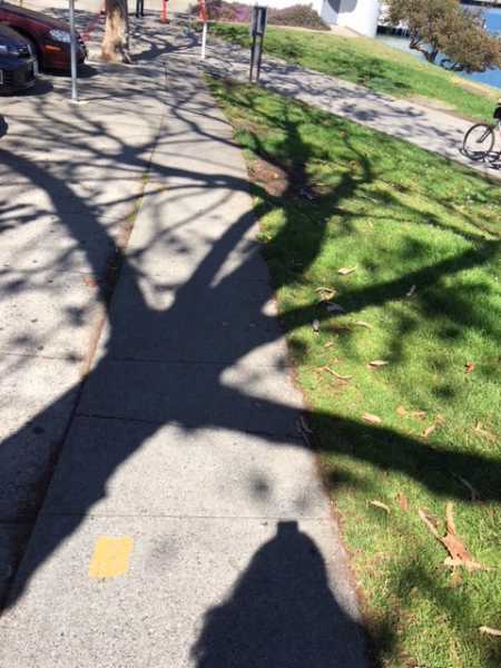 à¤°à¤¾à¤¸à¥à¤¤à¥ 