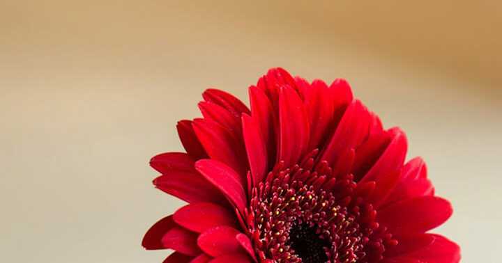  माँ बाप।।