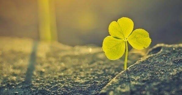 जिंदगी है जिंदादिली के लिए..😊