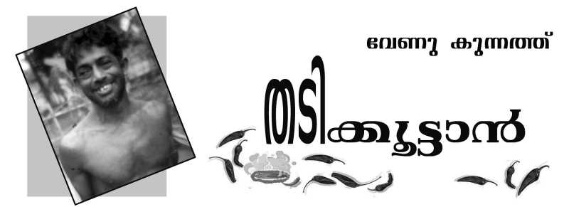 തടിക്കൂട്ടാൻ