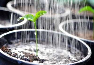 धीरे धीरे रे मना 