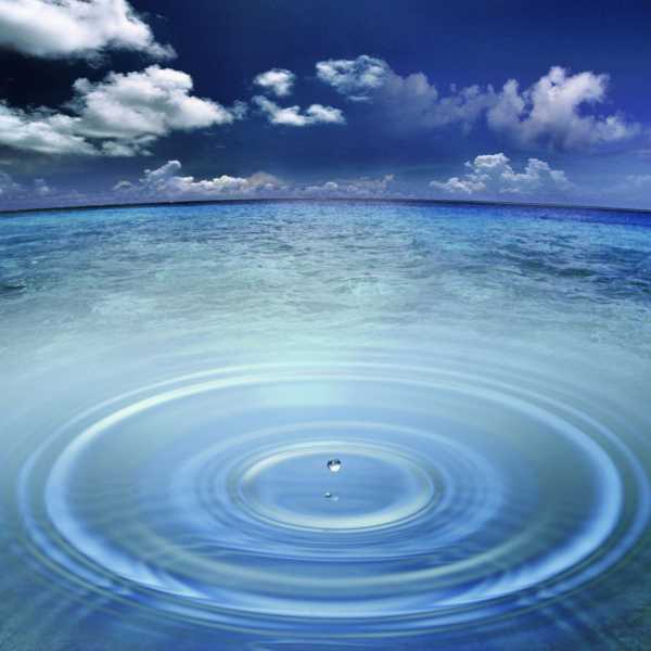 ಎಲ್ಲಿದೆ ಇಲ್ಲಿ ಪುಣ್ಯ ಹುಡುಕಿ ಕೊಡಿ ?