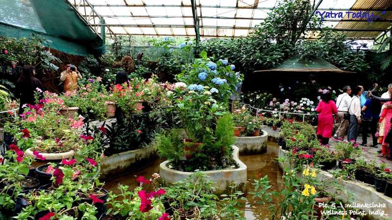 यात्रा के रंग अनेक : गंगटोक शहर के आसपास 