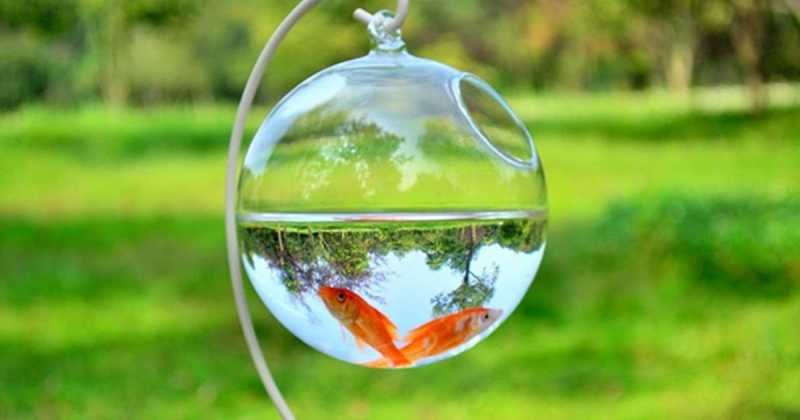 காமத் தாழி [சிறுகதை]