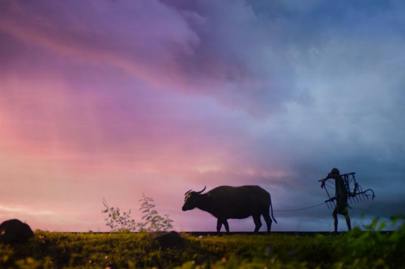 நிறைவேறுமா ஆசை நிறைவேறுமா ! - எந்தோட்டம்...