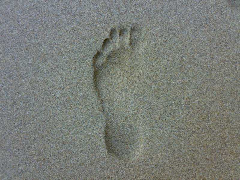 “ડગલું”