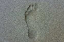 “ડગલું”