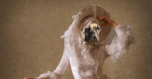 பெட்டை [சிறுகதை]