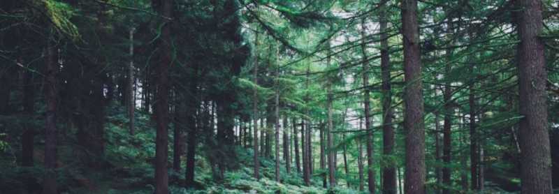 à¤à¥à¤µà¤¨ à¤à¤ à¤à¤¨à¤à¤¤ à¤¯à¤¾à¤¤à¥à¤°à¤¾ à¤¹à¥ - à¤®à¥à¤°à¥ à¤à¤µà¤¿à¤¤à¤¾ - à¤à¤²à¥à¤ªà¤¤à¤°à¥