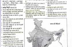 भारत की मिट्टियां और उनसे जुड़ी सभी जानकारी