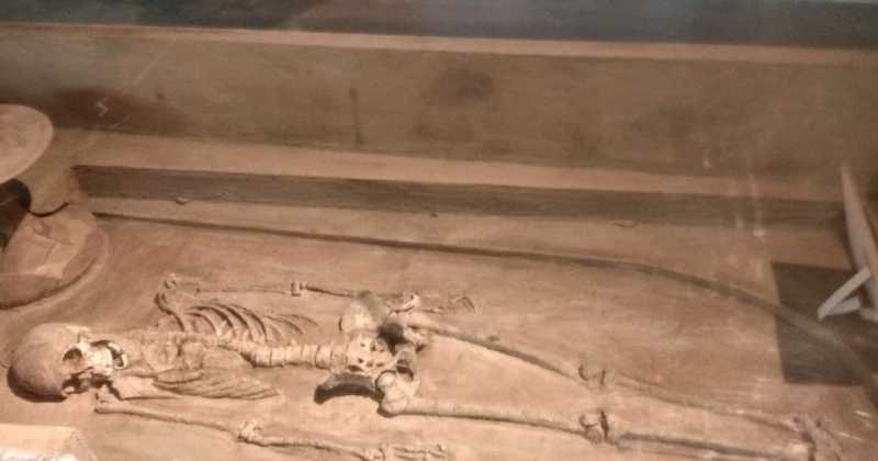 नेताजी ठेंगा राम