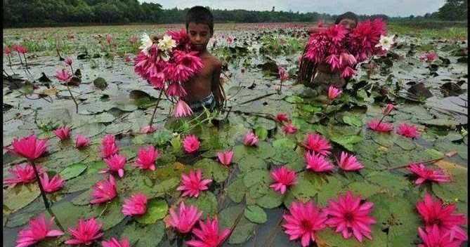 à¤à¤¬ à¤µà¥ à¤®à¥à¤ !