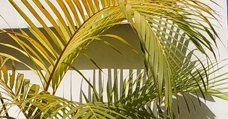 मंजिलें और खुशियाँ