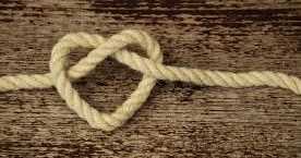 à¤à¤¨à¥à¤®à¤¦à¤¿à¤¨ 