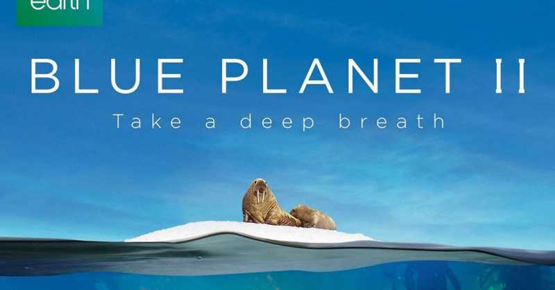 நீலப்படம்