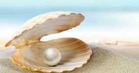 आँचल में सीप