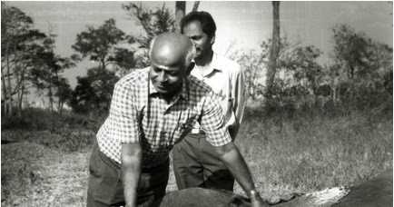 யானை டாக்டர்!