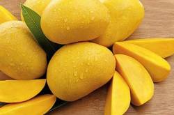 আমের আমি আমের তুমি