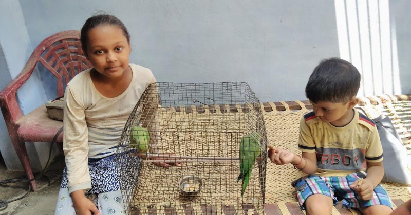 मॉब-लिंचिंग