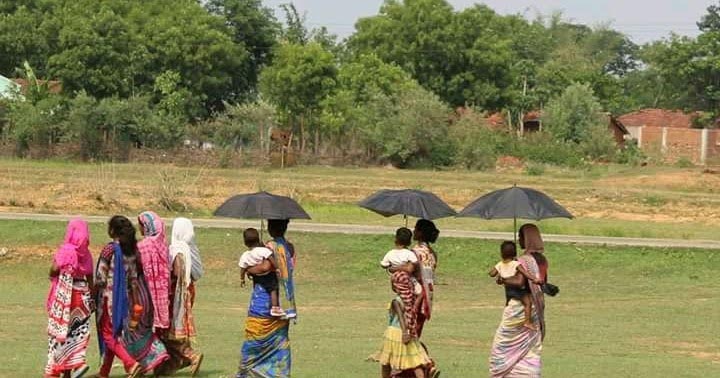 कविताओं की खेती