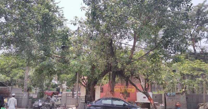 नदी के किनारे (हाइकु) 