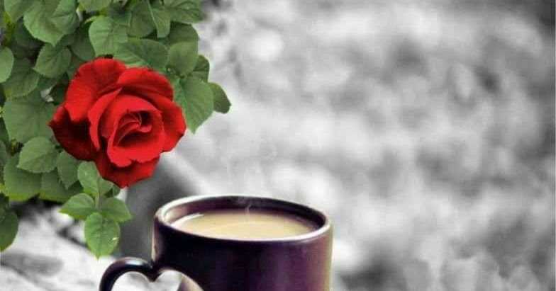 गुलाब माँगूंगा।