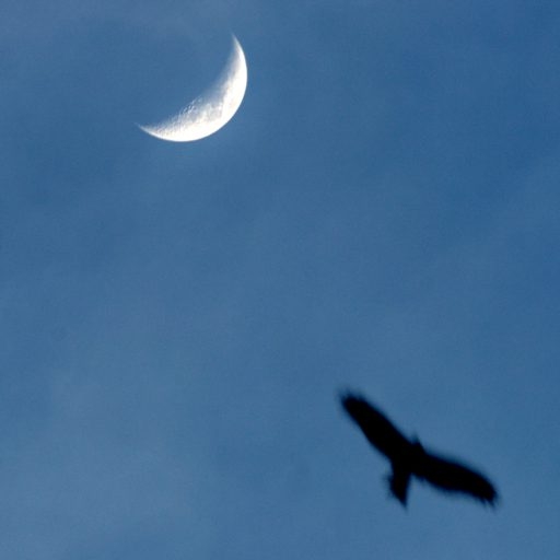 श्लोक १८ आणि १९ : भगवंताचे सर्वव्यापी अस्तित्व - भाग २