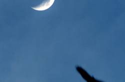 श्लोक १८ आणि १९ : भगवंताचे सर्वव्यापी अस्तित्व - भाग २