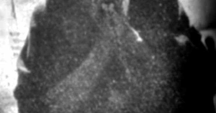 जेल के अन्दर एक जेल होती है जिसे तन्हाई कहते हैं