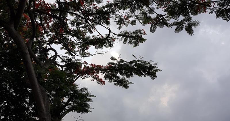 मांग लेना मनचाहा