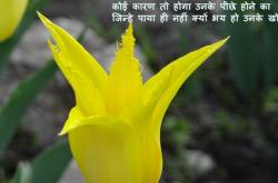 पीठ पीछे 